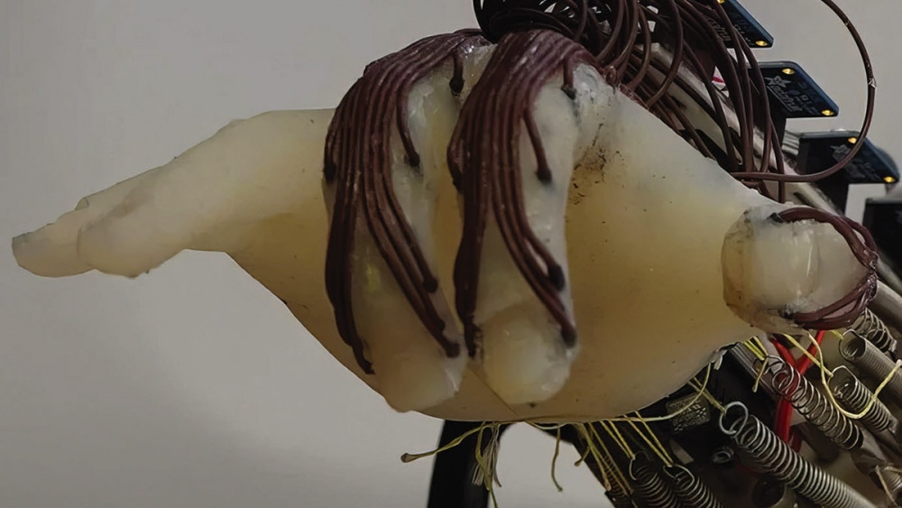 Soft Robotic Gripper Manipulates Objects Without Training - Tech Briefs