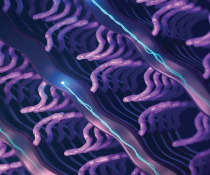 Biosensor Polymer Image