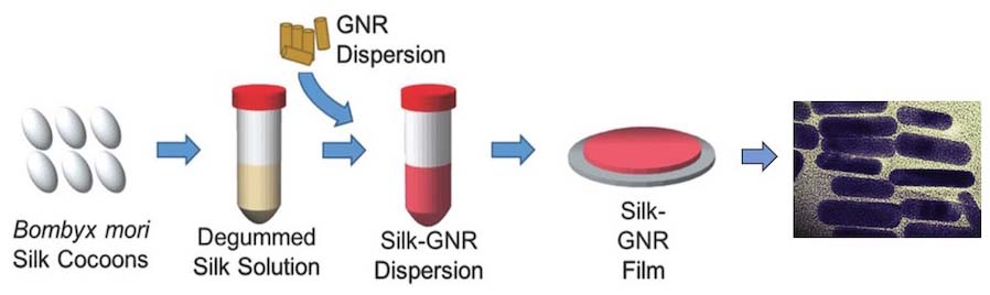 Sealant processing requires isolation of silk from cocoons, creation of silk solution, and addition of gold nanorods (GNR). The silk-GNR mix is formed into a silk-GNR film. The gold nanorods dispersed in the silk film are shown on the right. (Credit: Urie et al. Adv. Funct. Mater., 2018)