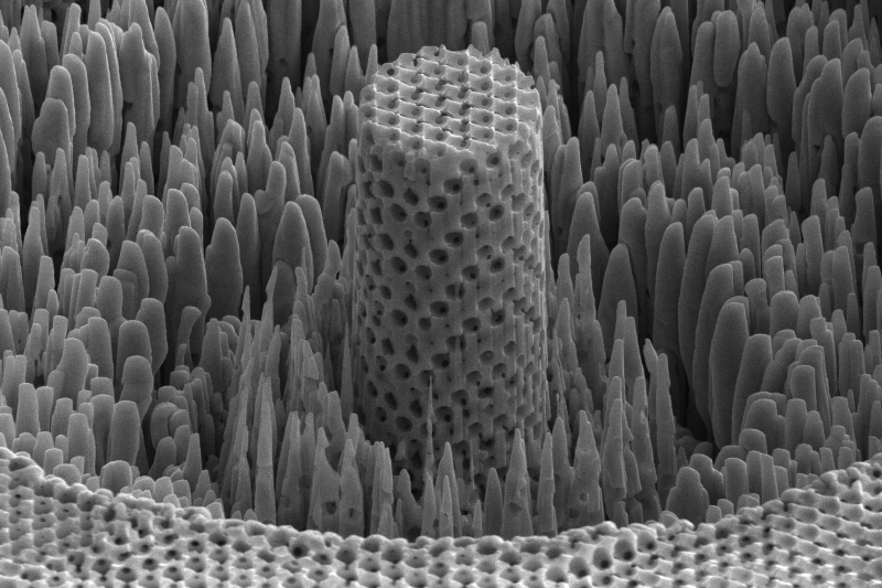 a microscopic sample of the porous metallic wood material created by Professor James Pikul and his team at the University of Pennsylvania.