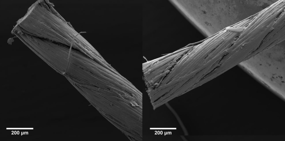 SEM images of linen thread coated with carbon nanotube (CNTs) for Tufts University thread-based electronics