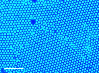 Image of colloid crystal